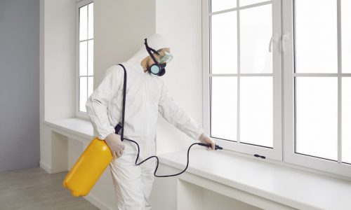 Pest control worker inside the house. Exterminator wearing white protective suit, mask and goggles holding yellow sprayer bottle and spraying insecticide over window sill in modern living room at home